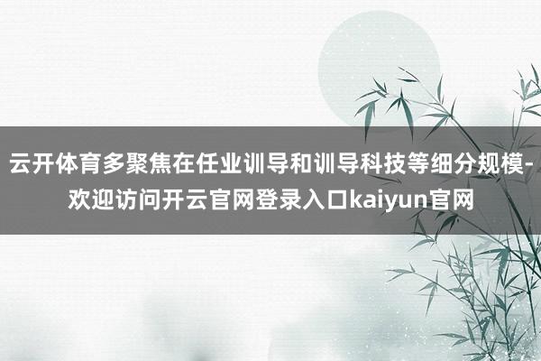 云开体育多聚焦在任业训导和训导科技等细分规模-欢迎访问开云官网登录入口kaiyun官网