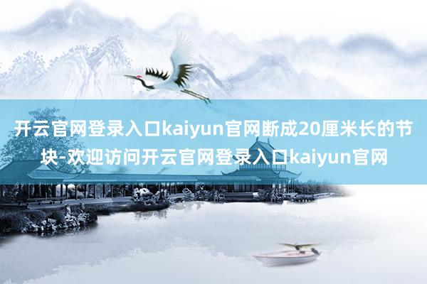 开云官网登录入口kaiyun官网断成20厘米长的节块-欢迎访问开云官网登录入口kaiyun官网