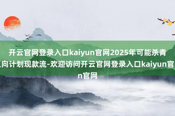 开云官网登录入口kaiyun官网2025年可能杀青正向计划现款流-欢迎访问开云官网登录入口kaiyun官网