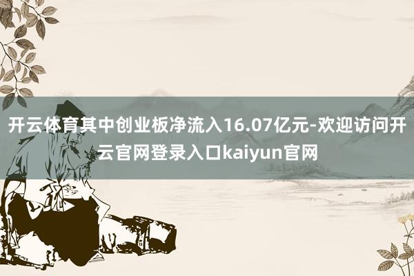 开云体育其中创业板净流入16.07亿元-欢迎访问开云官网登录入口kaiyun官网